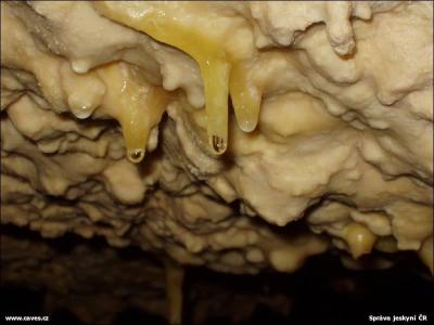 Liščí díra Mikulov