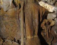 Liščí díra Mikulov